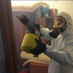 Уничтожение клопов в квартире. Демихово